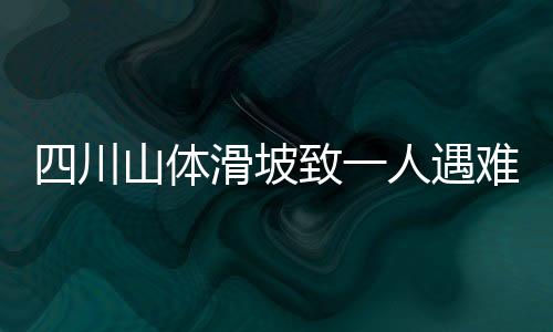 四川山體滑坡致一人遇難，二十八人失聯(lián)——緊急救援行動(dòng)進(jìn)行中