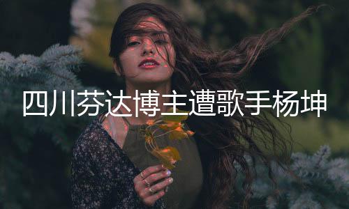 四川芬達博主遭歌手楊坤起訴，引發(fā)廣泛關(guān)注和熱議