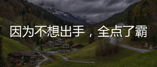 因?yàn)椴幌氤鍪?，全點(diǎn)了霸王色霸氣