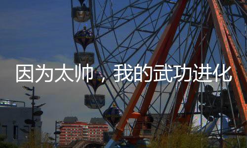 因為太帥，我的武功進(jìn)化了