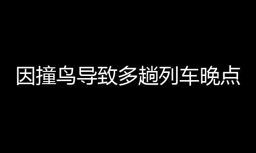 因撞鳥(niǎo)導(dǎo)致多趟列車(chē)晚點(diǎn)，鐵路部門(mén)公開(kāi)致歉