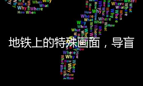 地鐵上的特殊畫面，導(dǎo)盲犬自律展現(xiàn)驚人耐心