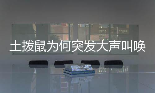 土撥鼠為何突發(fā)大聲叫喚？探索其行為背后的奧秘