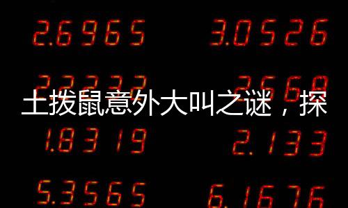 土撥鼠意外大叫之謎，探究背后的原因與應(yīng)對(duì)之策