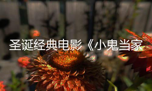 圣誕經(jīng)典電影《小鬼當家》：華納錯失4.76億票房神話