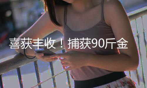 喜獲豐收！捕獲90斤金黃色鰱鳙魚