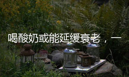 喝酸奶或能延緩衰老，一項(xiàng)健康研究的最新發(fā)現(xiàn)