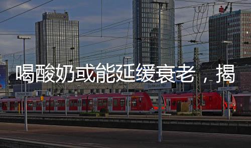 喝酸奶或能延緩衰老，揭示酸奶的神奇力量與保健秘密