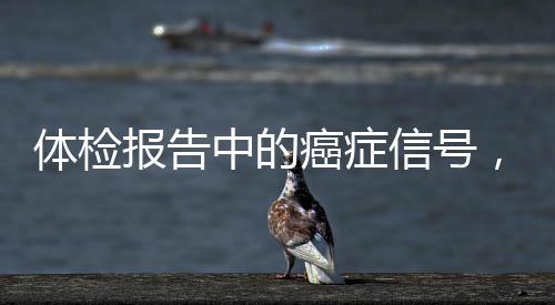 體檢報告中的癌癥信號，關(guān)鍵詞解讀與應(yīng)對策略