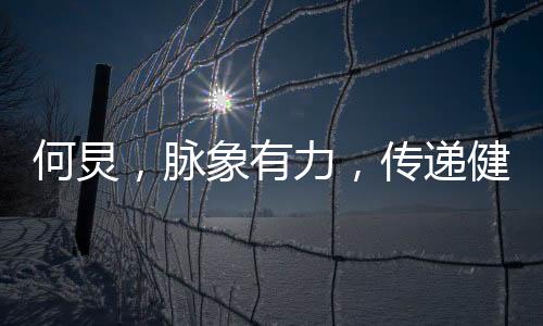 何炅，脈象有力，傳遞健康與活力