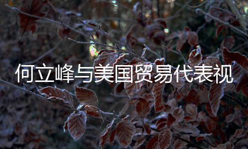 何立峰與美國(guó)貿(mào)易代表視頻通話，探討雙邊經(jīng)貿(mào)合作與發(fā)展前景