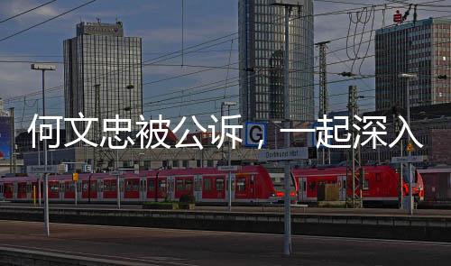 何文忠被公訴，一起深入探究的案件分析