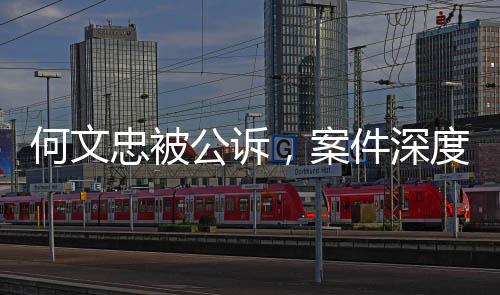何文忠被公訴，案件深度解析與多方關(guān)注