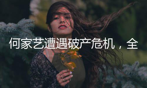 何家藝遭遇破產危機，全家傾力支援共度難關