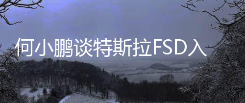 何小鵬談特斯拉FSD入華：熱烈歡迎，整個(gè)智能駕駛行業(yè)會有更多有趣交流和互相促進(jìn)