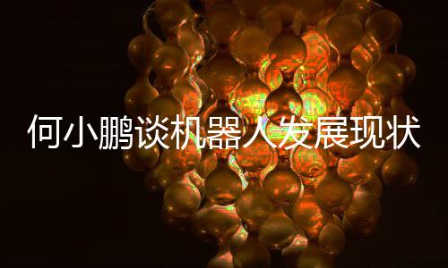 何小鵬談機器人發(fā)展現(xiàn)狀，當(dāng)前多數(shù)機器人尚處于L2階段