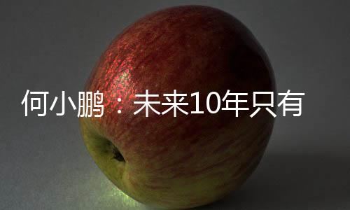 何小鵬：未來(lái)10年只有5