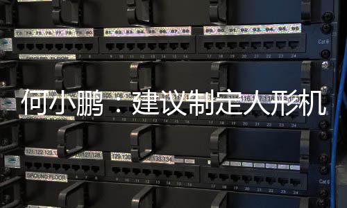 何小鵬：建議制定人形機(jī)器人銷(xiāo)售補(bǔ)貼政策，加快構(gòu)建飛行汽車(chē)駕照分類分級(jí)認(rèn)證體系