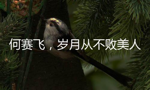 何賽飛，歲月從不敗美人