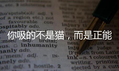 你吸的不是貓，而是正能量——一場新型生活態(tài)度的啟示