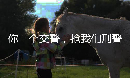 你一個交警，搶我們刑警的活？