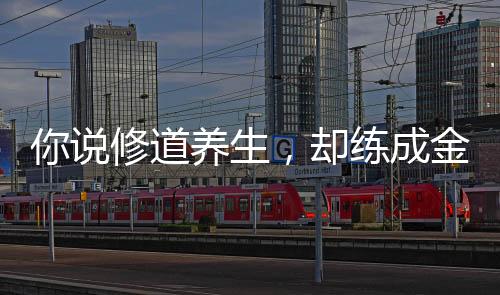 你說修道養(yǎng)生，卻練成金丹法？