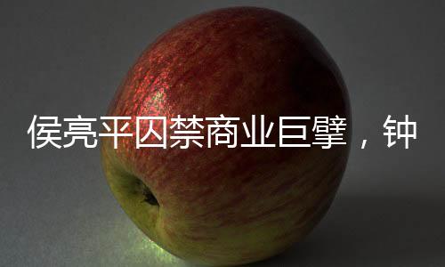 侯亮平囚禁商業(yè)巨擘，鐘正國慌了