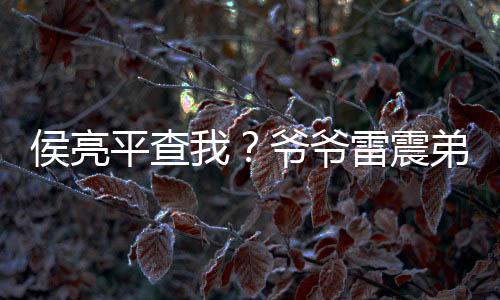 侯亮平查我？爺爺雷震弟子趙蒙生