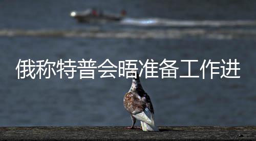 俄稱特普會(huì)晤準(zhǔn)備工作進(jìn)入后期階段