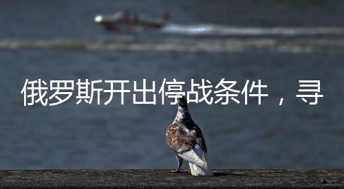 俄羅斯開出停戰(zhàn)條件，尋求和平解決沖突的契機