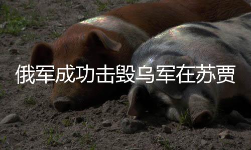 俄軍成功擊毀烏軍在蘇賈以南架設(shè)的浮橋——戰(zhàn)略要地的關(guān)鍵行動分析