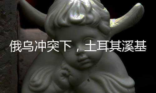 俄烏沖突下，土耳其溪基礎(chǔ)設(shè)施遭烏軍攻擊引發(fā)國(guó)際關(guān)注