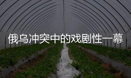 俄烏沖突中的戲劇性一幕，特朗普為何未對(duì)澤連斯基采取行動(dòng)？揭秘其中的奇跡原因