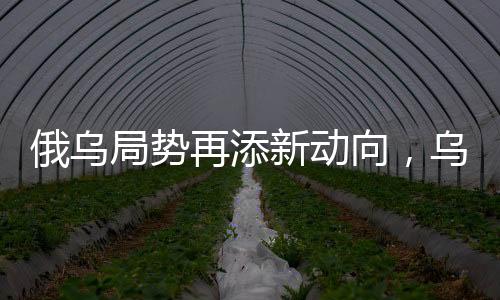 俄烏局勢再添新動(dòng)向，烏總統(tǒng)與英法領(lǐng)導(dǎo)人通話