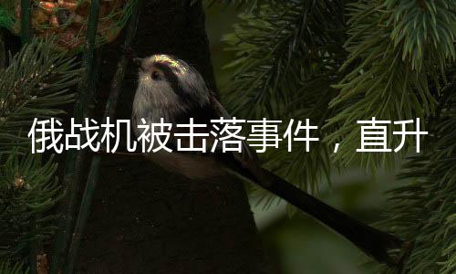 俄戰(zhàn)機(jī)被擊落事件，直升機(jī)絕地救援飛行員