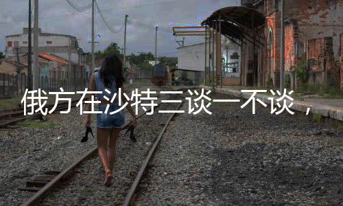 俄方在沙特三談一不談，深化合作中的多維解析