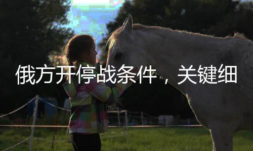 俄方開停戰(zhàn)條件，關(guān)鍵細(xì)節(jié)與未來(lái)展望
