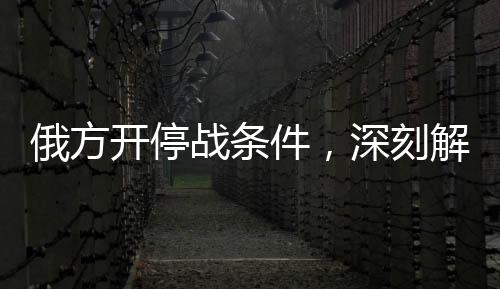 俄方開停戰(zhàn)條件，深刻解讀與未來展望