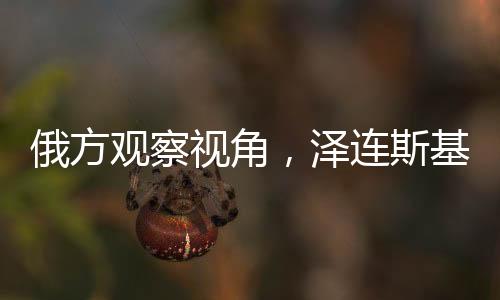 俄方觀察視角，澤連斯基辦公室如同精神病房的深度解讀