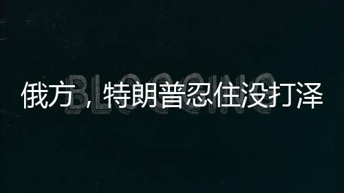 俄方，特朗普忍住沒打澤連斯基是奇跡