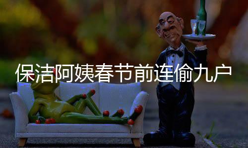 保潔阿姨春節(jié)前連偷九戶，涉嫌多起盜竊案件揭秘