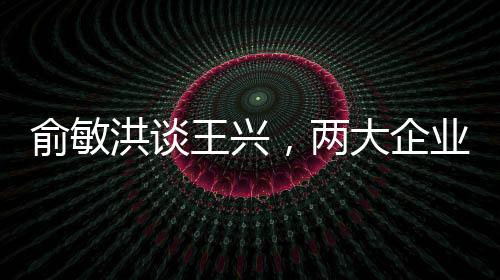 俞敏洪談王興，兩大企業(yè)家巨頭共繪未來藍圖