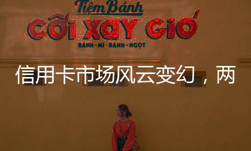 信用卡市場風(fēng)云變幻，兩年內(nèi)消失八千萬張信用卡