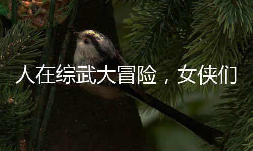 人在綜武大冒險，女俠們都壞掉了