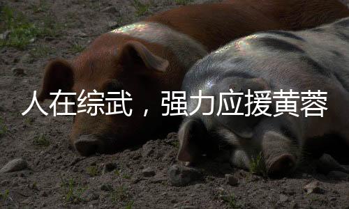 人在綜武，強力應援黃蓉小龍女