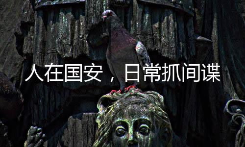 人在國(guó)安，日常抓間諜