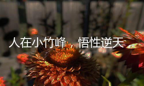 人在小竹峰，悟性逆天，以儒證道