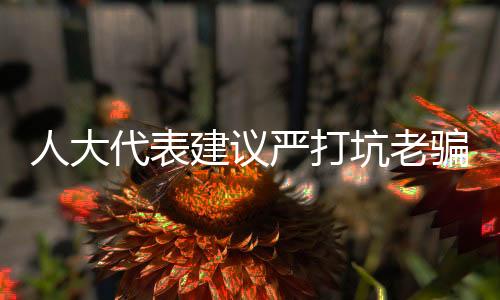 人大代表建議嚴(yán)打坑老騙局，守護(hù)老年人合法權(quán)益