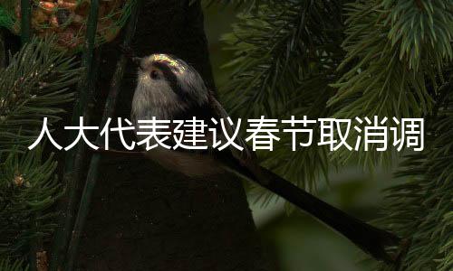 人大代表建議春節(jié)取消調休，民眾的期待與時代的思考