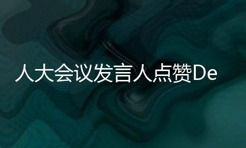 人大會議發(fā)言人點(diǎn)贊DeepSeek，引領(lǐng)科技創(chuàng)新的杰出代表